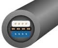 WIR001494_eqi8_cross.jpg