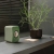 kef-lsx-ii-green-ls8.jpg