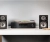 T15_Image_in-situ.webp