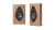 sonetto_o5.webp