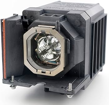 lmph330_2.jpg