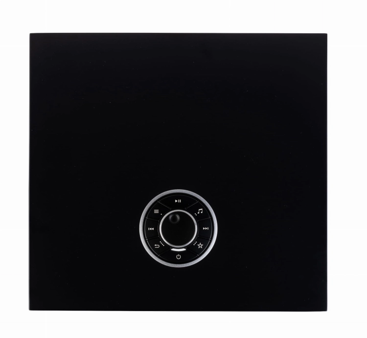 2024-07-24 R610 Black top.jpg