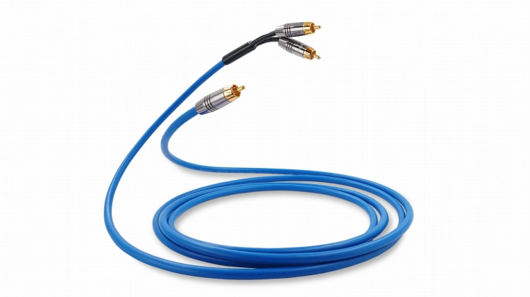 Melodika-SBSWY40-Kabel-do-subwoofera-typu-Y-1xRCA-2xRCA-Sky-Blue-4m-176712.jpg