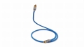 Melodika-SBSW40-Kabel-do-subwoofera-RCA-RCA-Sky-Blue-4m-177111.jpg
