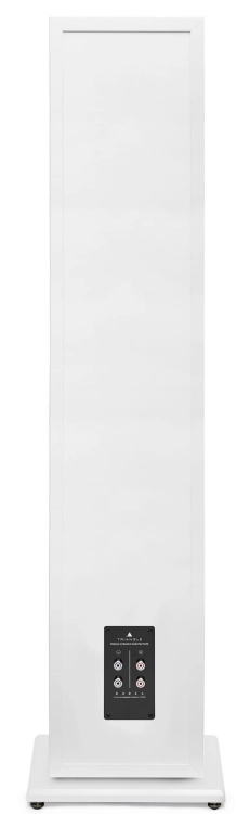 Triangle-Borea-BR10-BR-10-kolumny-podlogowe-3-drozne-o-mocy-200W-2szt-174583.jpg