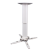 spider-elegant-2545-white_01.png