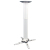spider-elegant-4070-white_01.png