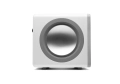 X201White7.png.webp