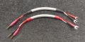 20251124_122921.jpg