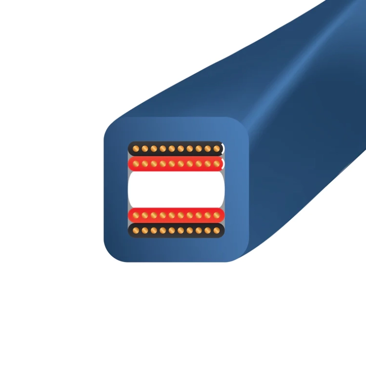OAS10_Cross.webp
