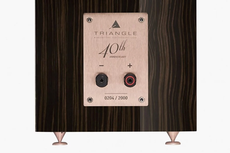 Triangle-Comete-40th-Anniversary-santos-rosewood-back-detail.jpg