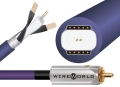 cecha_1.webp