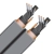 silverelectra2.webp