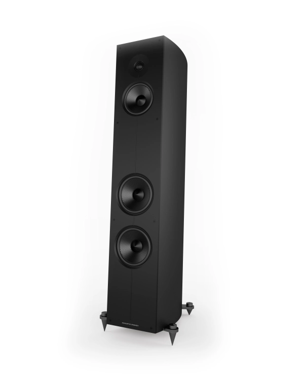 Corinium - Matte Black (Left-Facing Angle).jpg