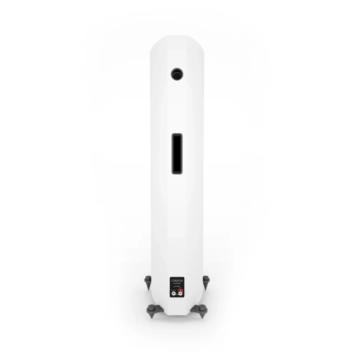 Corinium-Matte-White-_Rear.webp