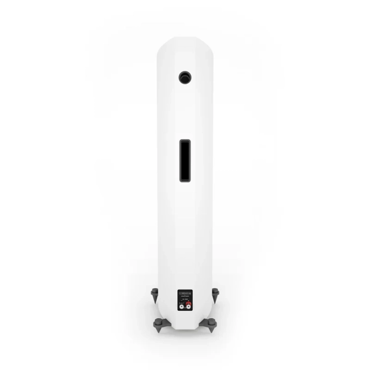 Corinium-Matte-White-_Rear.webp
