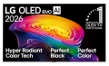 oled83C_2.jpg