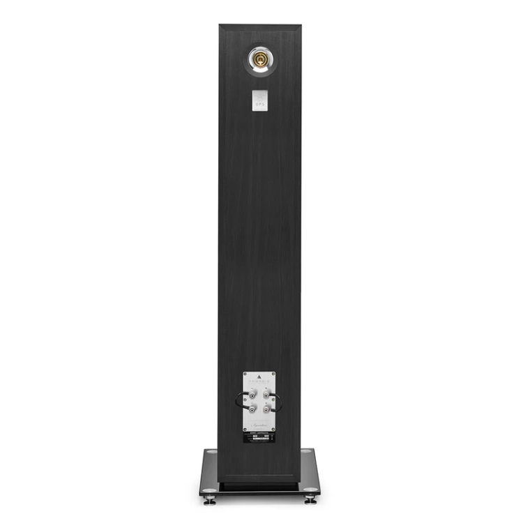 esprit-EZ-australe-black-ash-packshot-4.webp