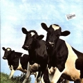 R-34388188-1751038636-8545.jpg
