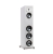 martinlogan-foundation-f2-satin-white.jpg