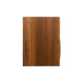 martinlogan-foundation-b2-walnut-kolumna (4).jpg