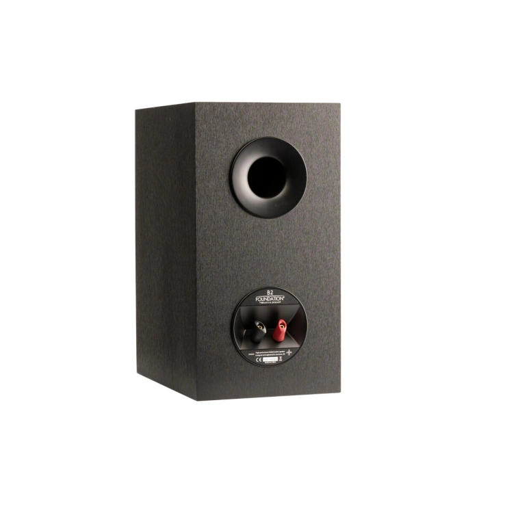 martinlogan-foundation-b2-black-kolumna (4).jpg