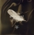 R-11185519-1519067202-7983.jpg