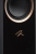 martinlogan-motion-xt-f100-walnut (12).jpg