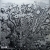 R-14686875-1579632173-5930.jpg