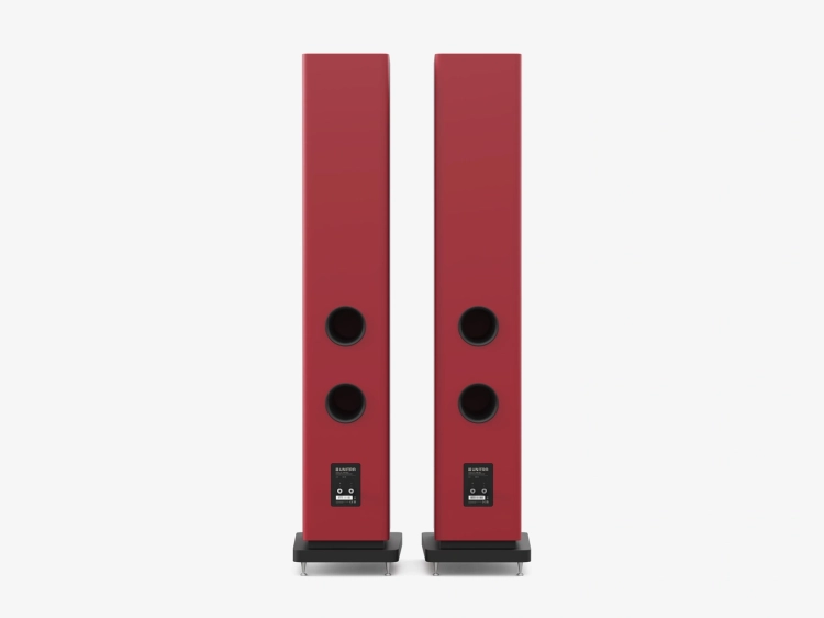 pol_pl_Glosniki-podlogowe-typu-bass-reflex-ZGB-601-Zestaw-24_2.webp