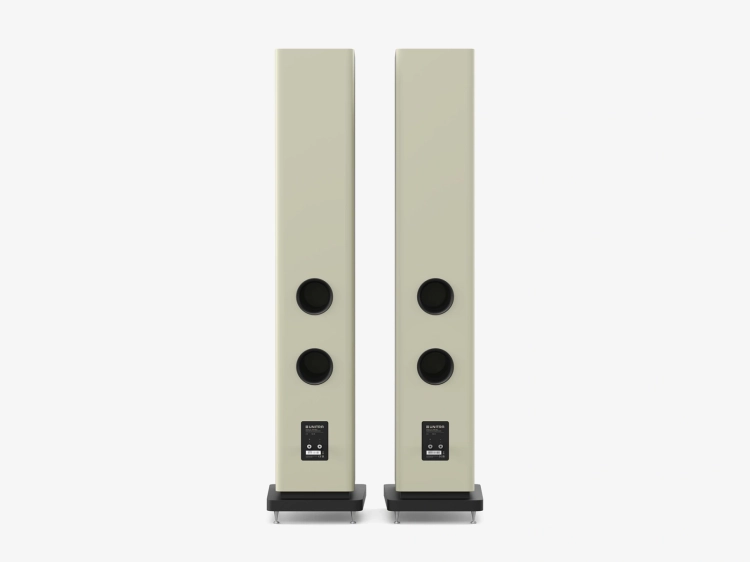 pol_pl_Glosniki-podlogowe-typu-bass-reflex-ZGB-601-Zestaw-22_3.webp