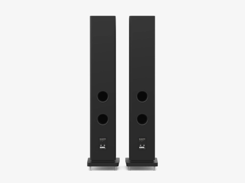 pol_pl_Glosniki-podlogowe-typu-bass-reflex-ZGB-601-Zestaw-23_2.webp