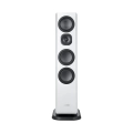 canton-2-vento81-thumb.webp