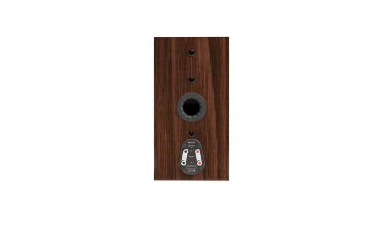 MA_SILVER_8G_100_WALNUT_BACK.jpg