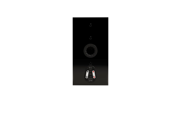 MA_SILVER_8G_100_BLACK_BACK_1.jpg
