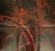 R-36832612-1780308597-3977.jpg