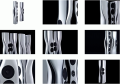 Speakers-You-Can-039-t-Afford-KEF-Muon-2.png
