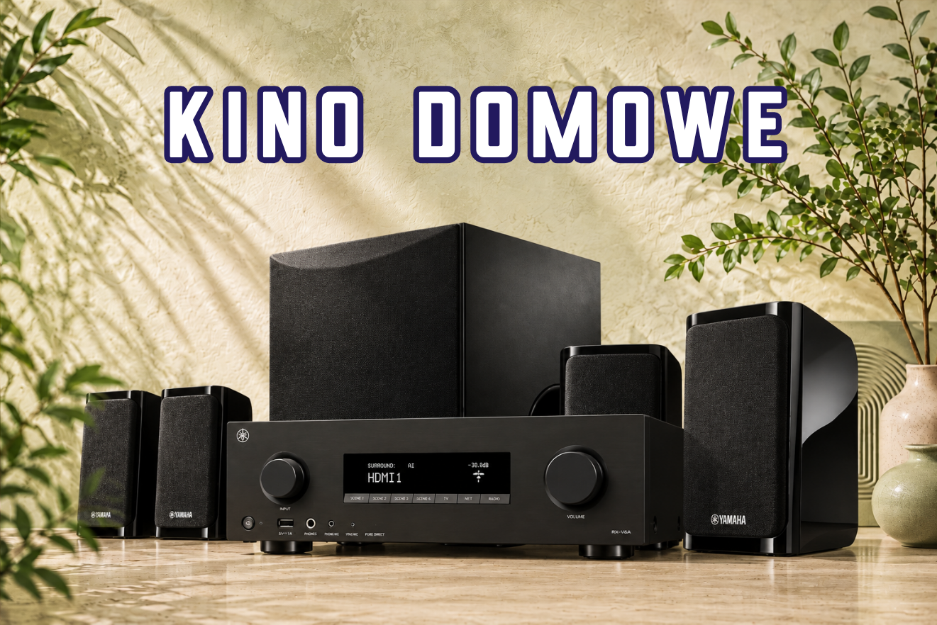 kino domowe