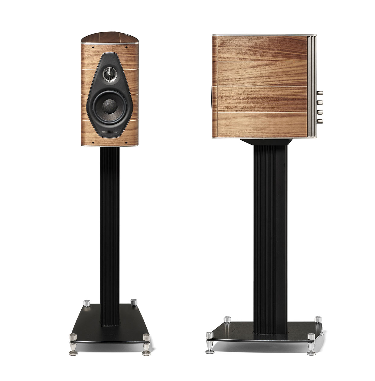 Sonus Faber Olimpica I Walnut